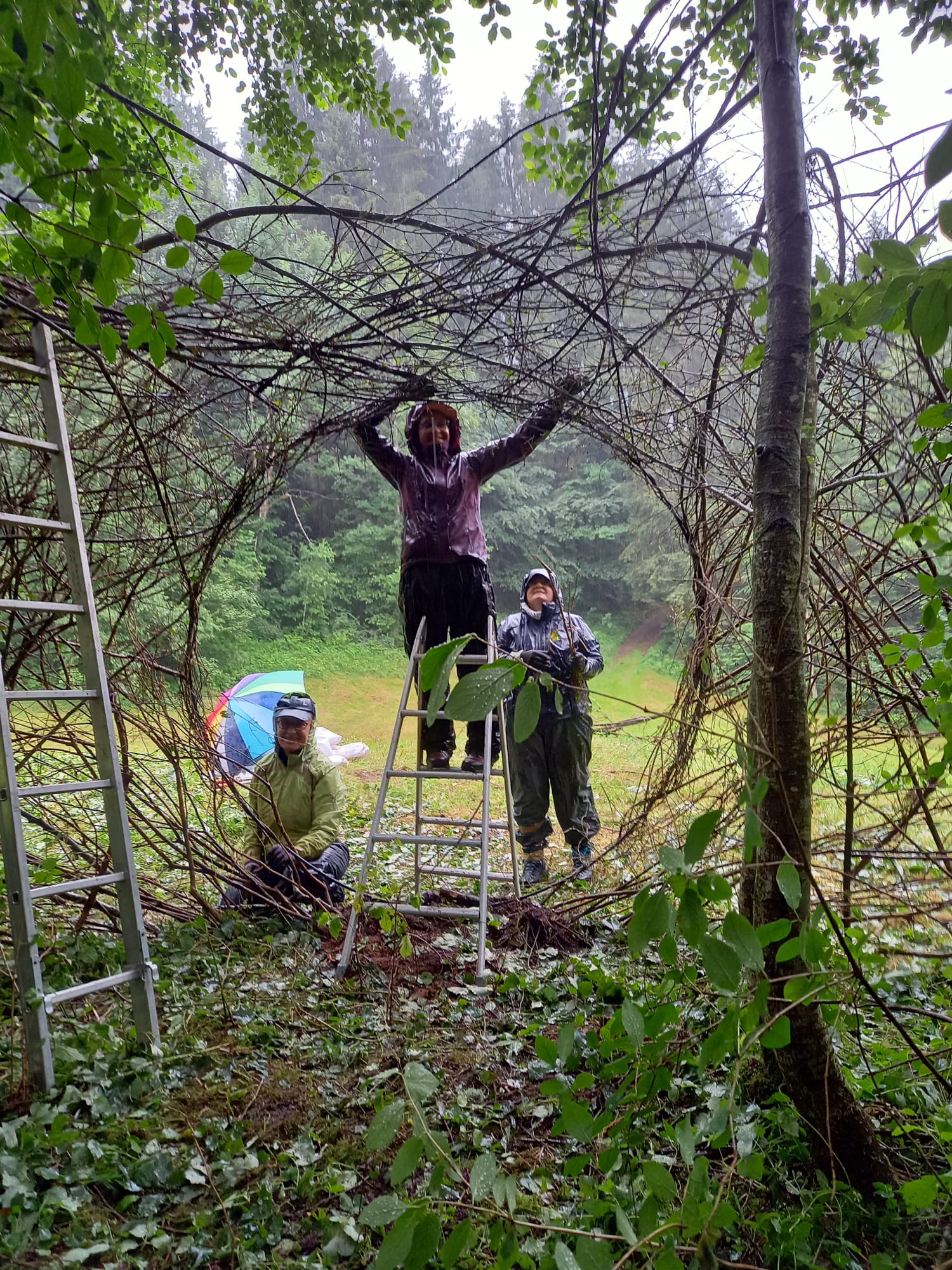 Landart Tor zur Natur 2020 